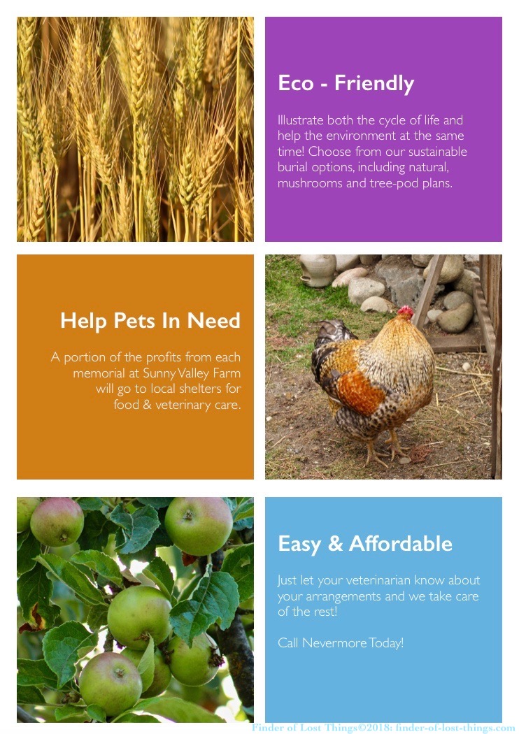 Screen Shot 2018-10-29 at 1.54.51 PM