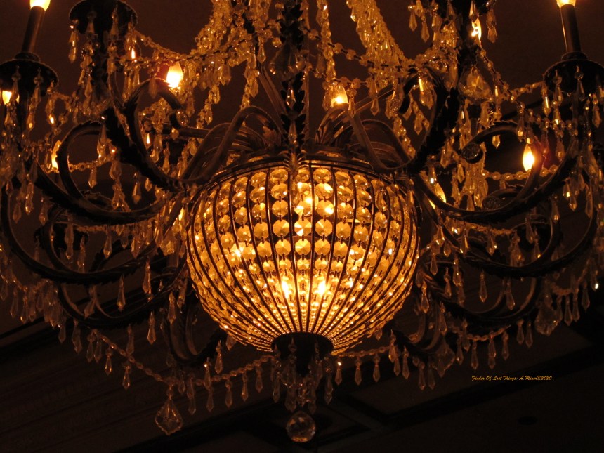 2.19 1:2 pic my surreptiscious snap of the Rare Records Room