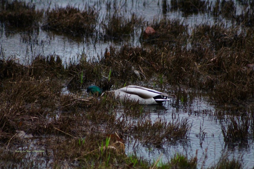 2.09b slip sliding away