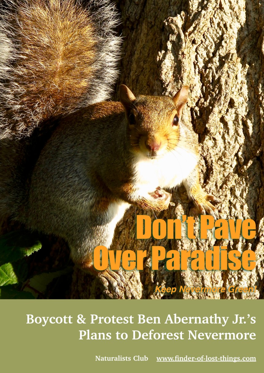 Squirrel don't pave over paradise jpg